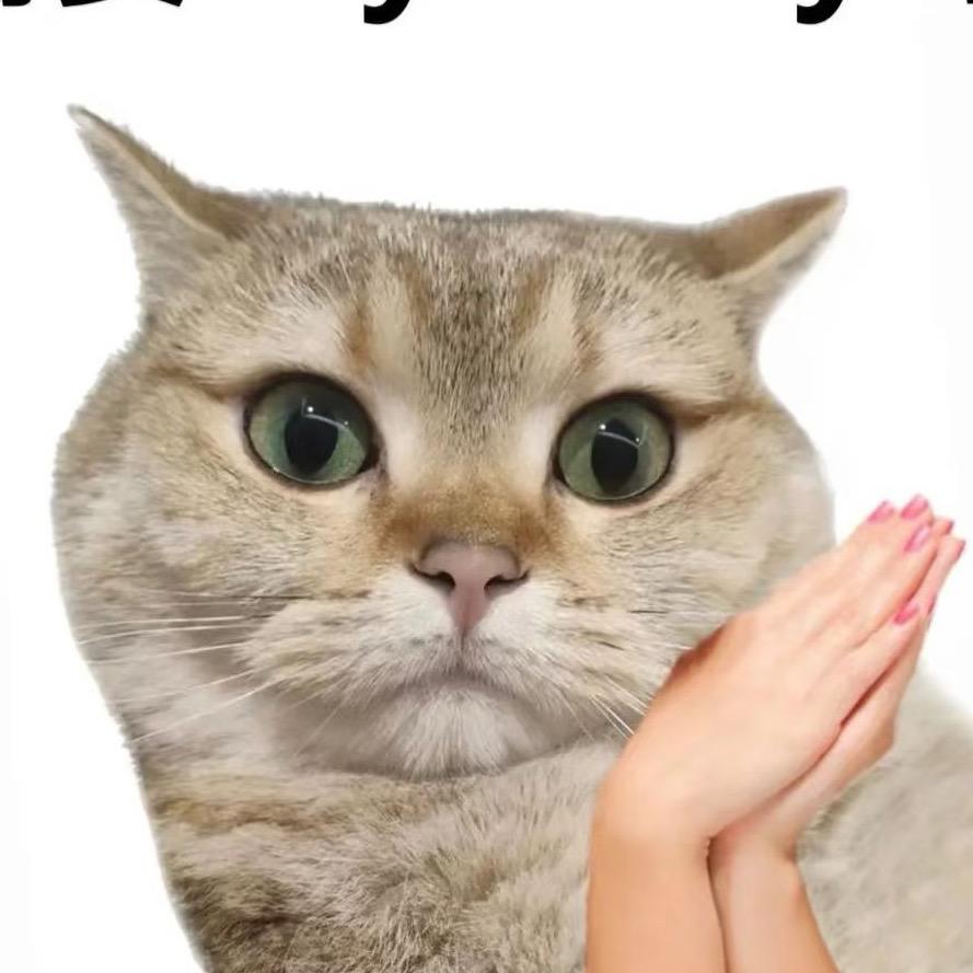 菜菜