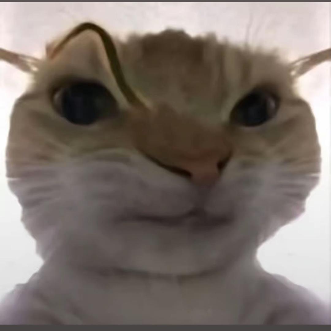 蜂尤金（三角洲行动）