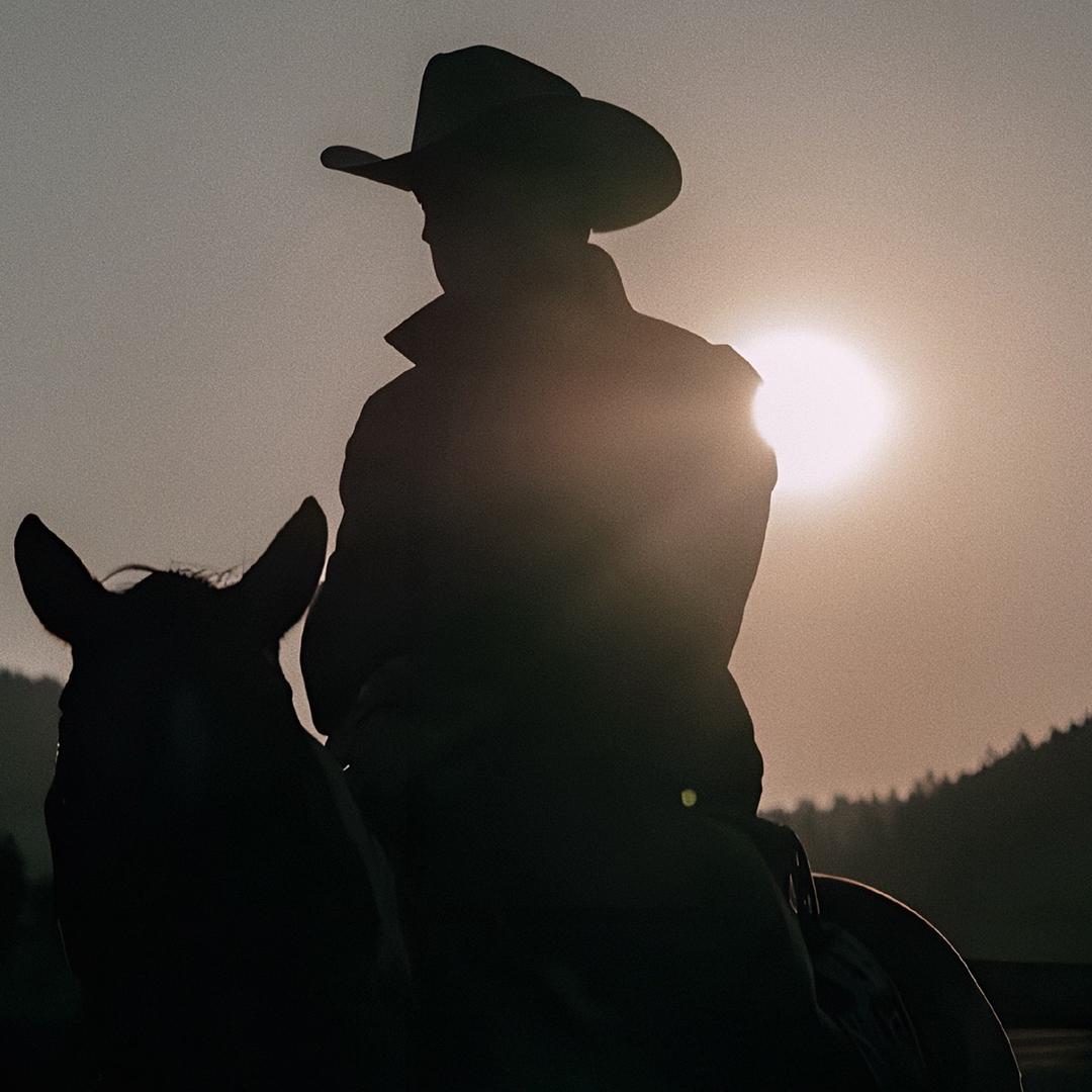 转生成为西部牛仔