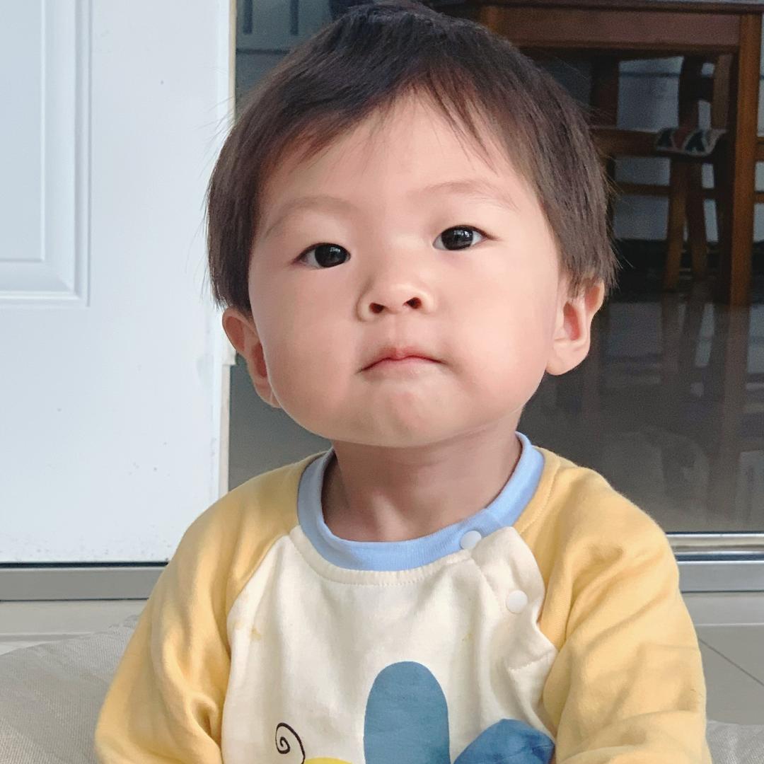 🦖多肉的成长日记