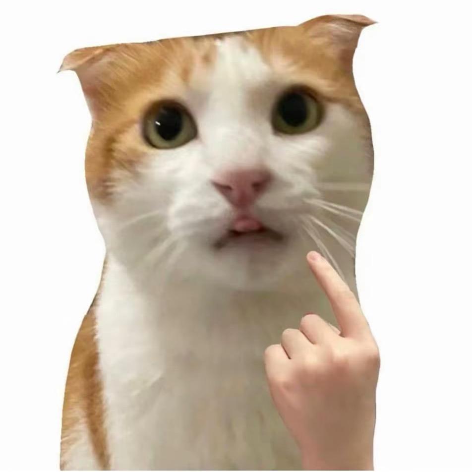 大家好