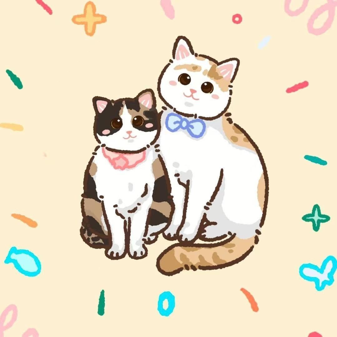 臭屁阿严的养猫日记🐱