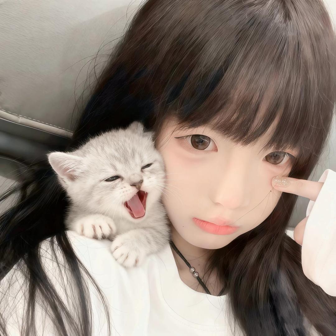 小猫੭