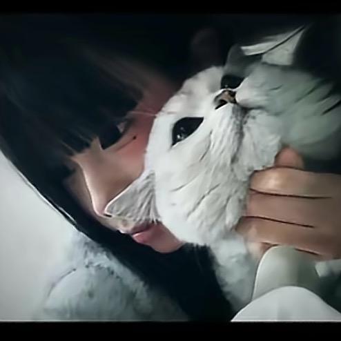 🪷보여줄 게🪷