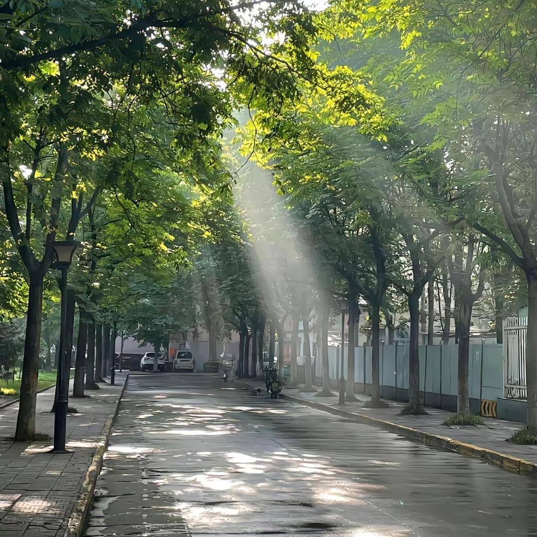 去有风的地方。xxx