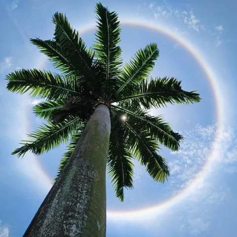 浩一