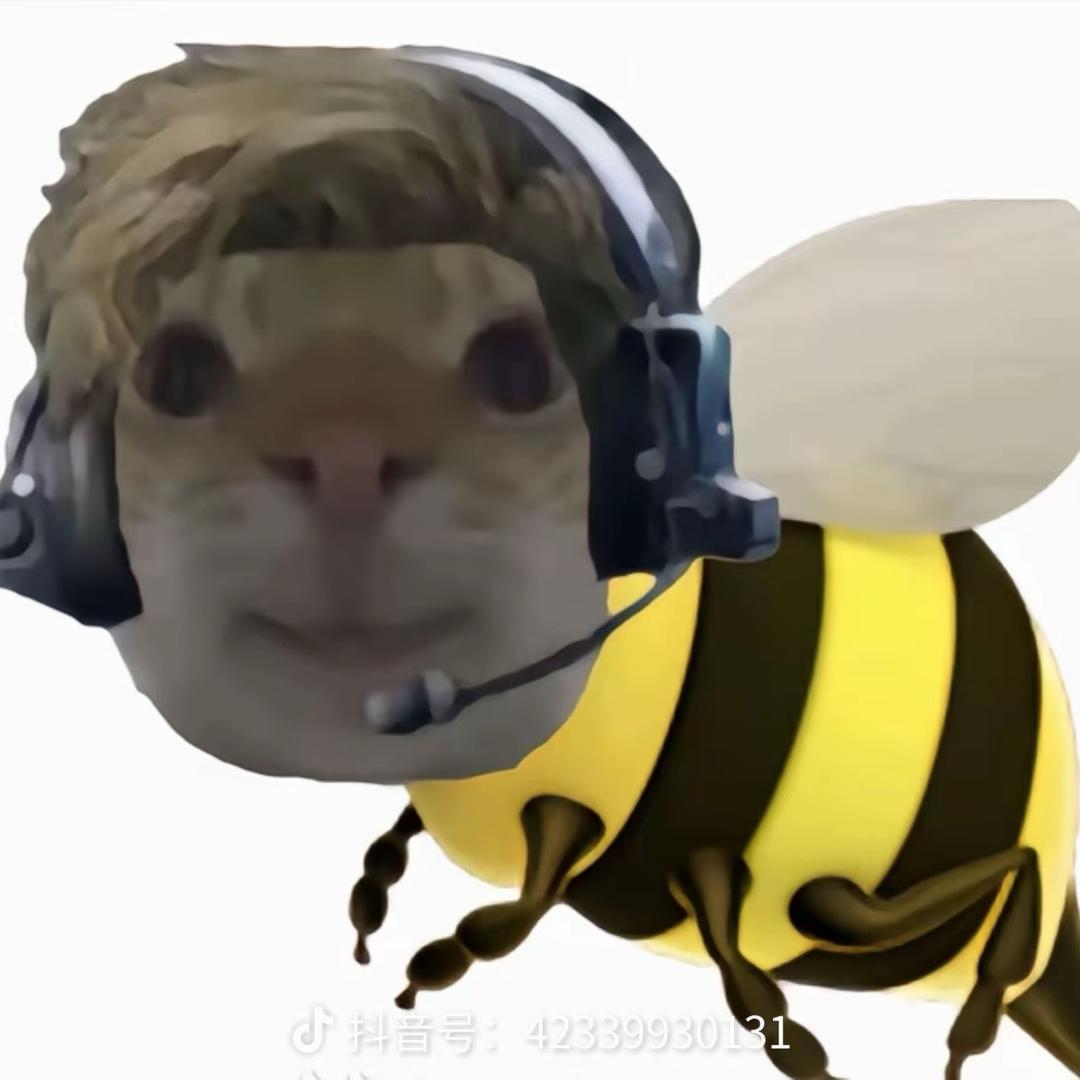 爱蜂（三角洲行动）