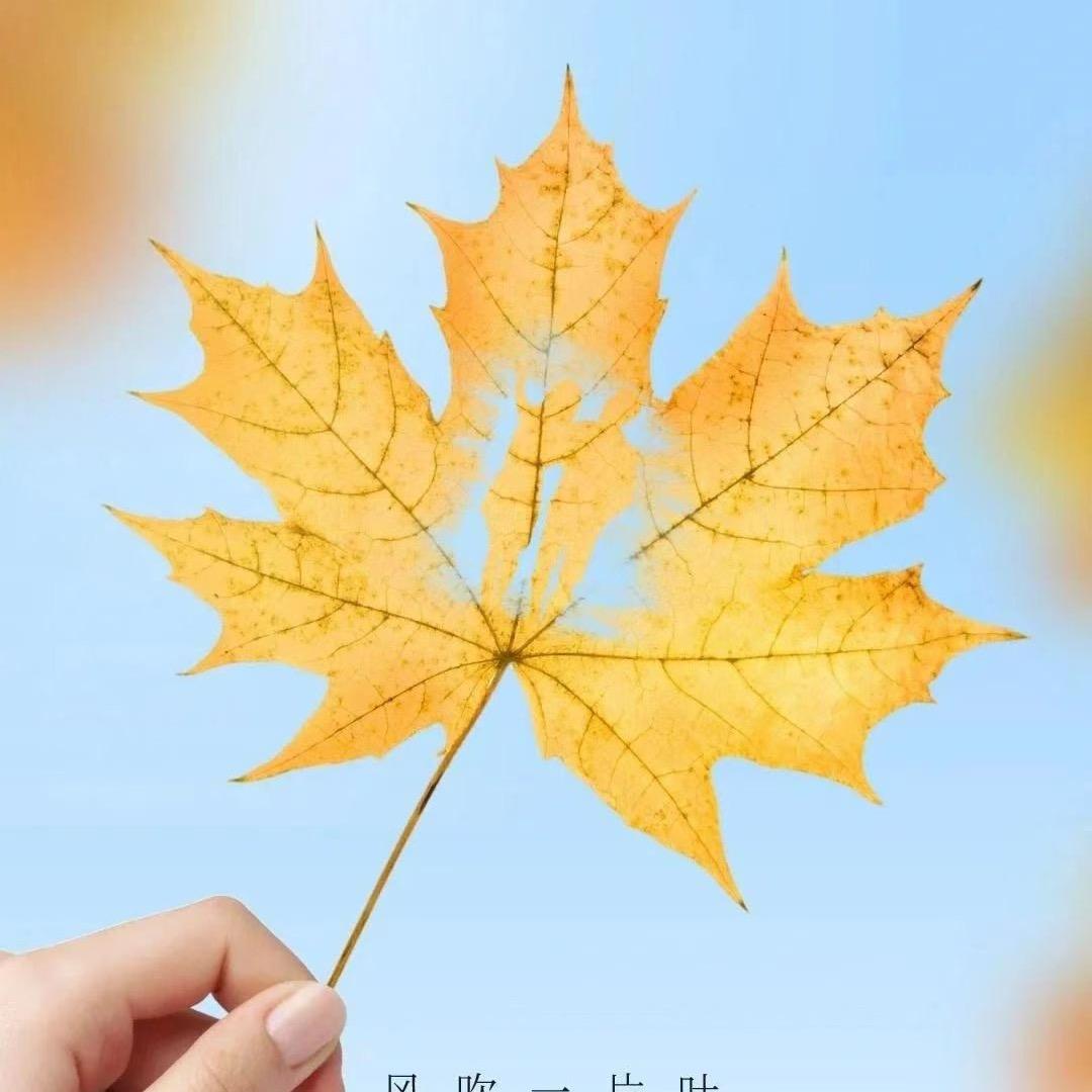 向阳而升