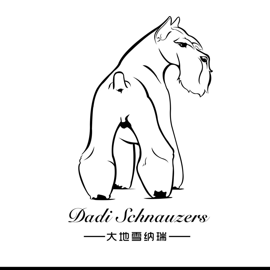 雪纳瑞大地犬舍素素