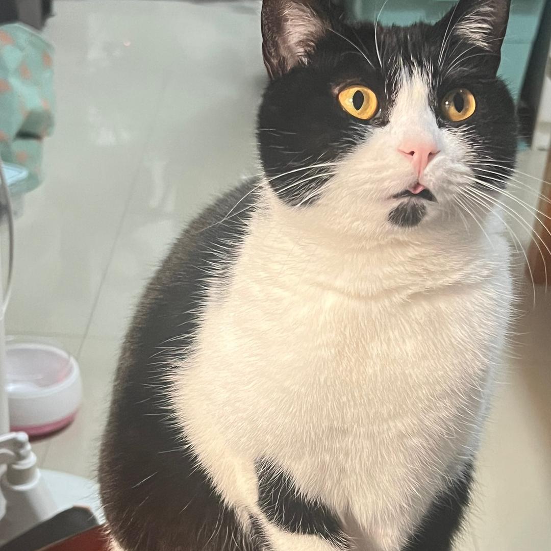 逆女十月找学习搭子