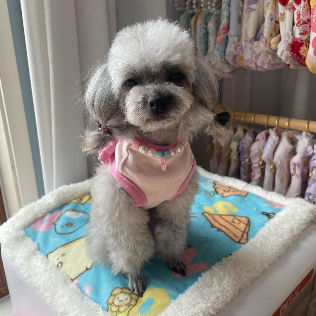 爱吃荔枝的黛西ღ³