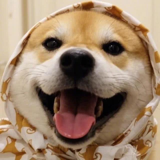 粉红🐷乔治