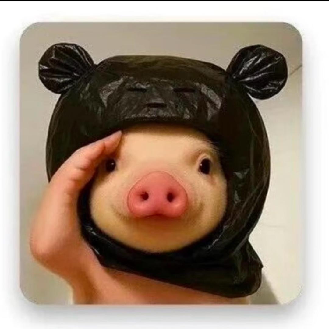 - Ten𓆏.
