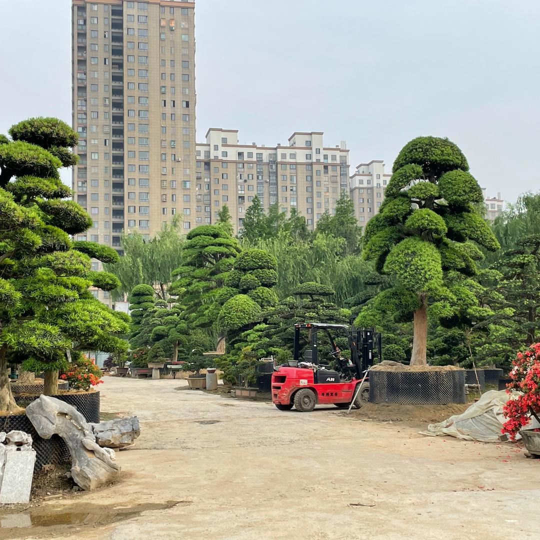 湖州吴兴区小毛果树园林
