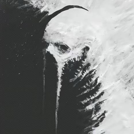 Bshark