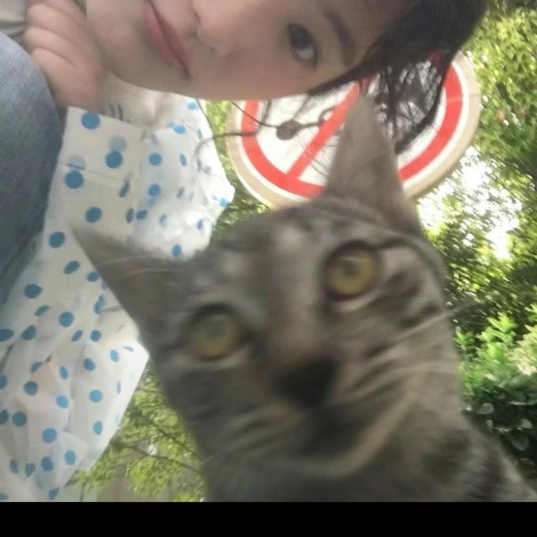 F y y y y y