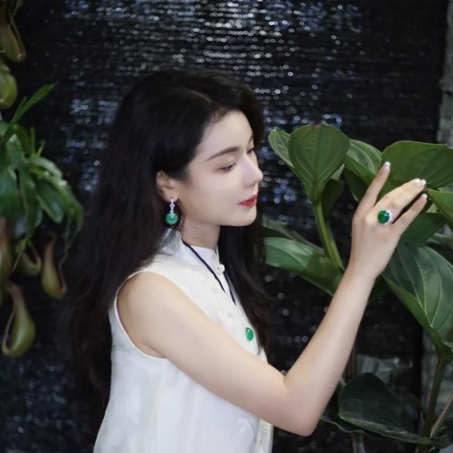 天阳与翡
