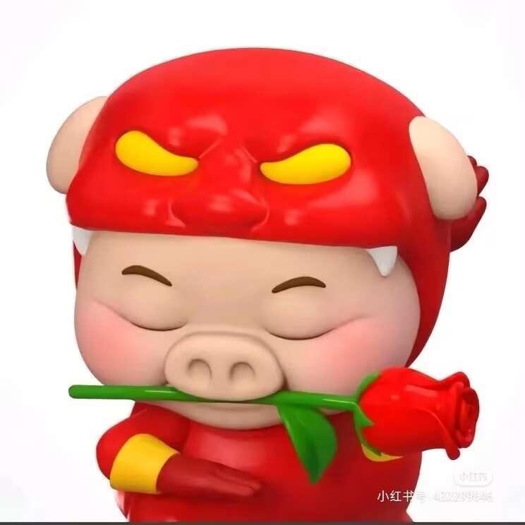 @王者荣耀朱大腿（国一孙策）
