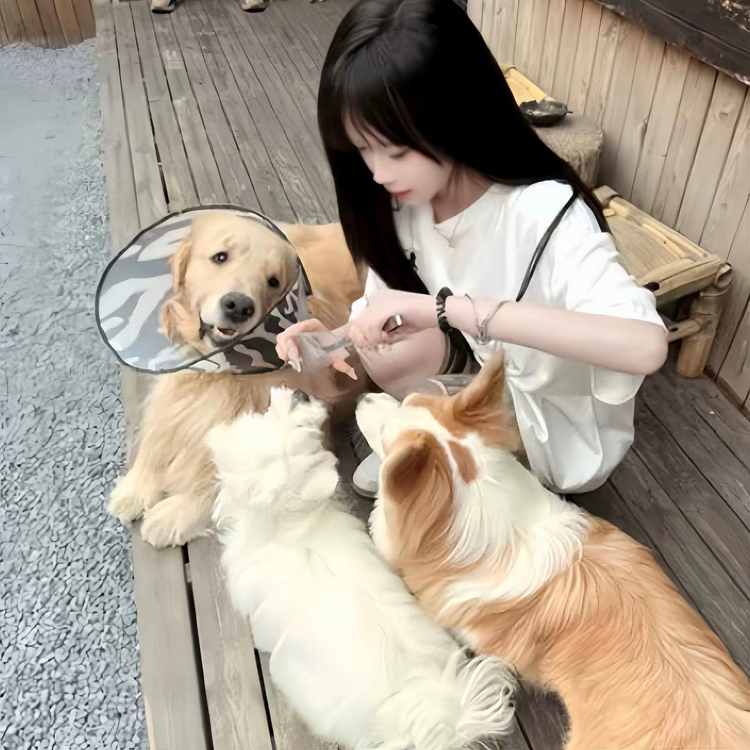 让我冬个眠