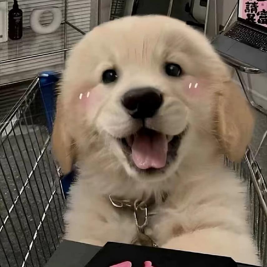 口口袋袋