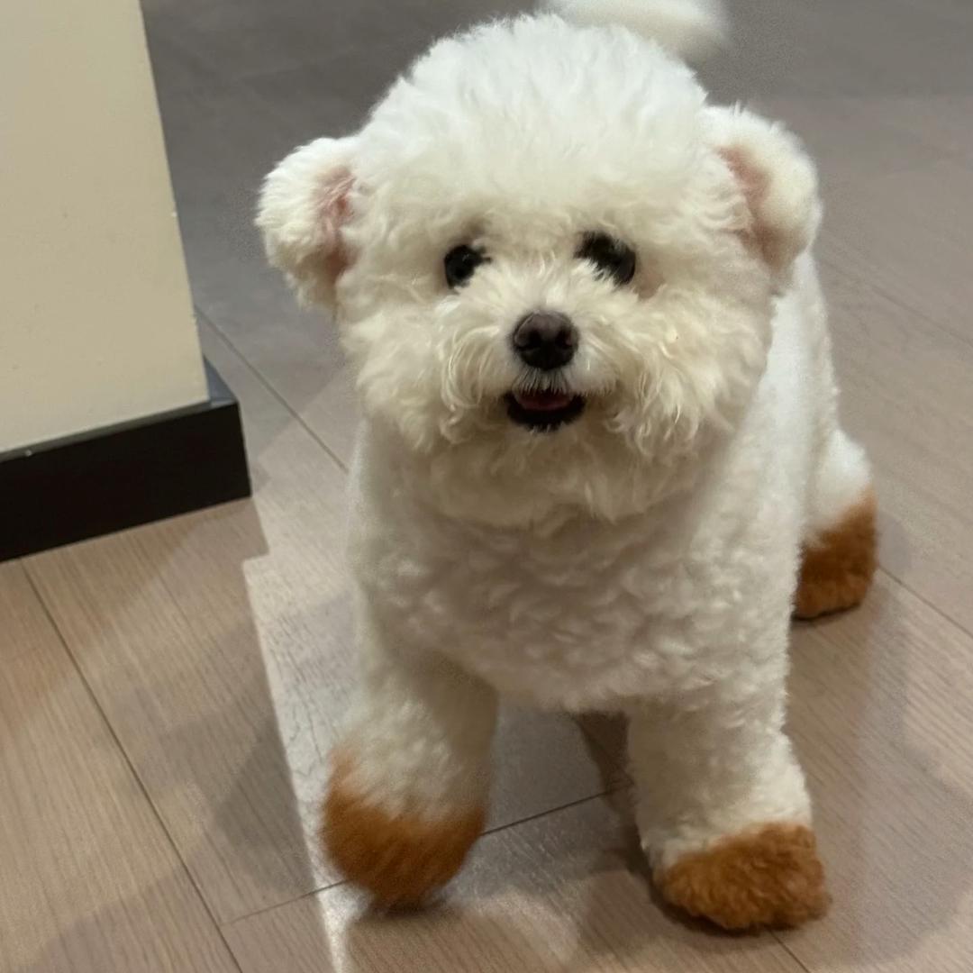 故乡人家