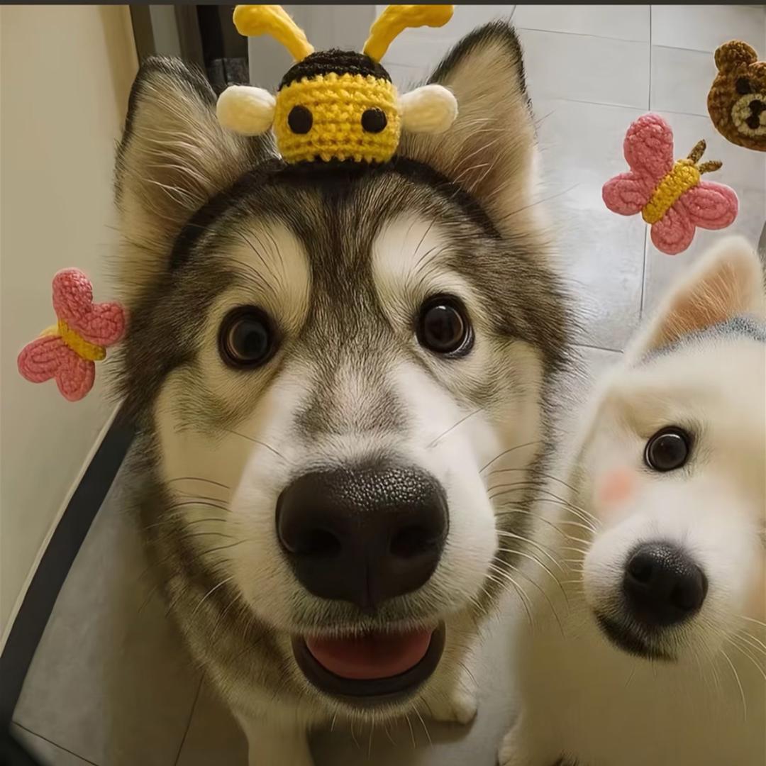 疯狂的摔狗