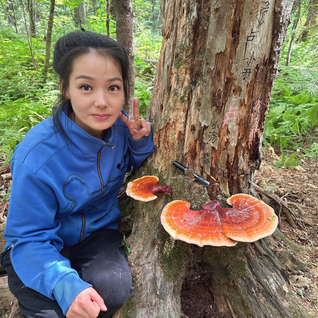 五林洞林区（小雪）