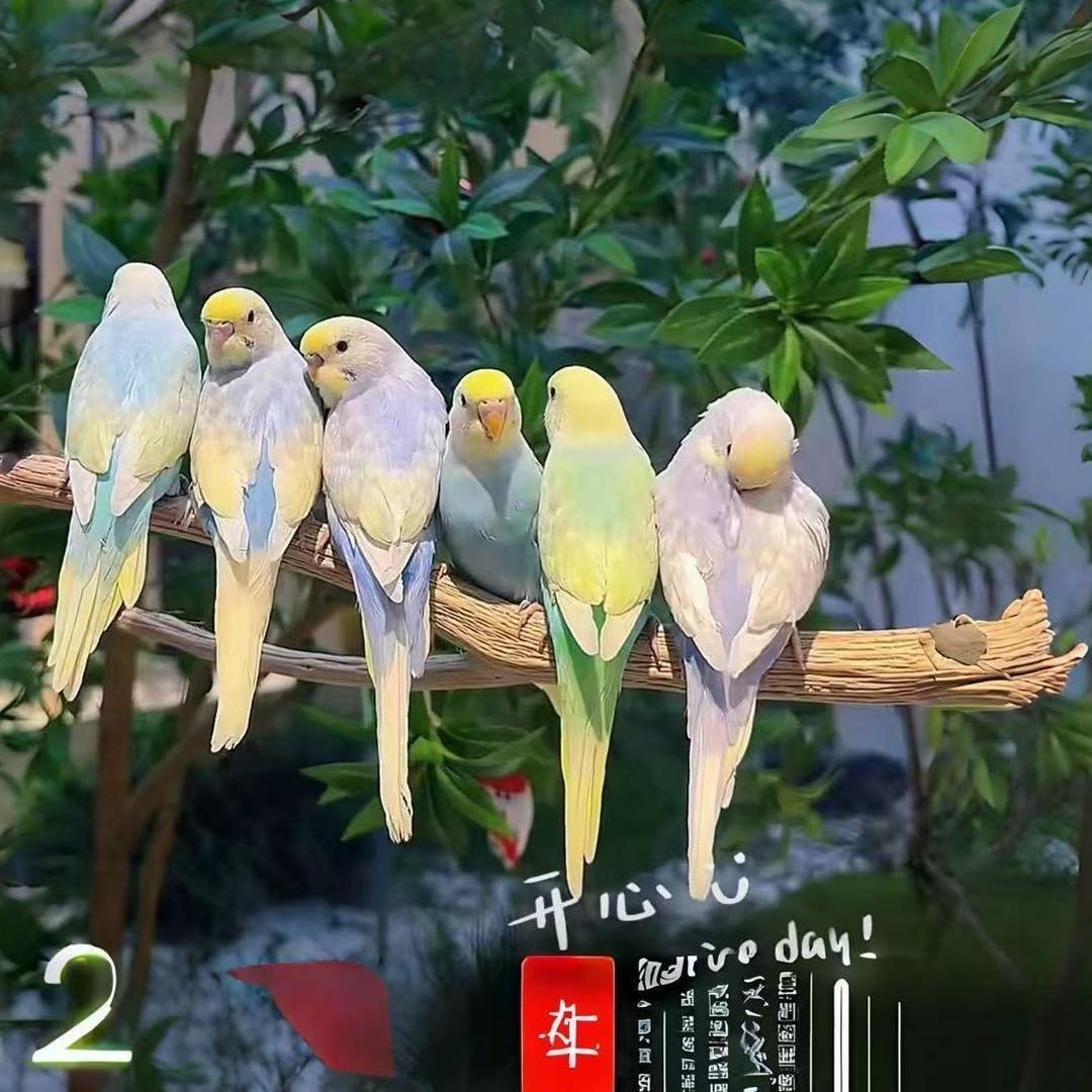 北之图养殖