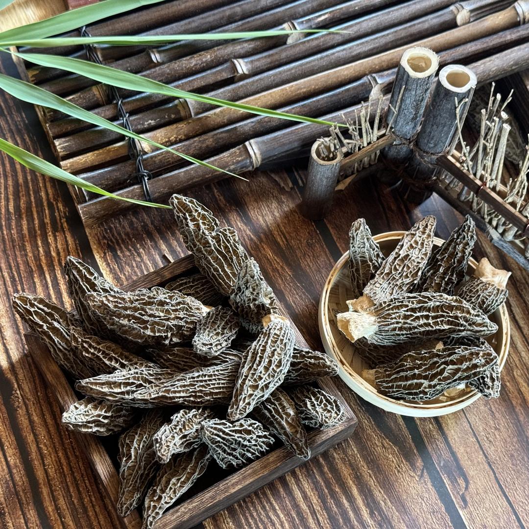 五丈山羊肚菌原产地供应链