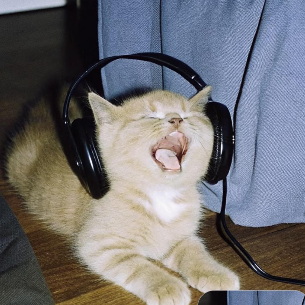 不会唱歌的小虫