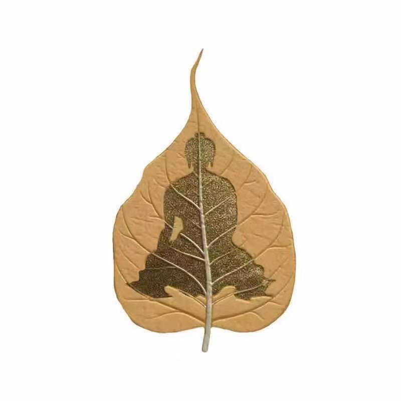 智光