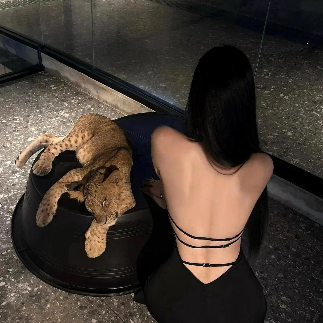 依拉'