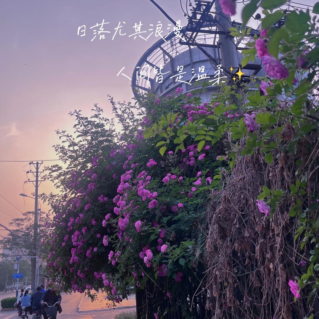 云卷云舒～～