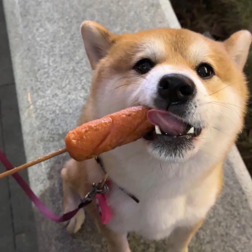 用户52933381头像