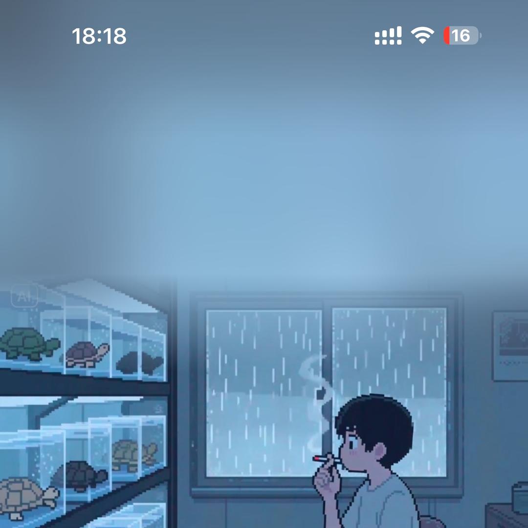 阳哥龟宠