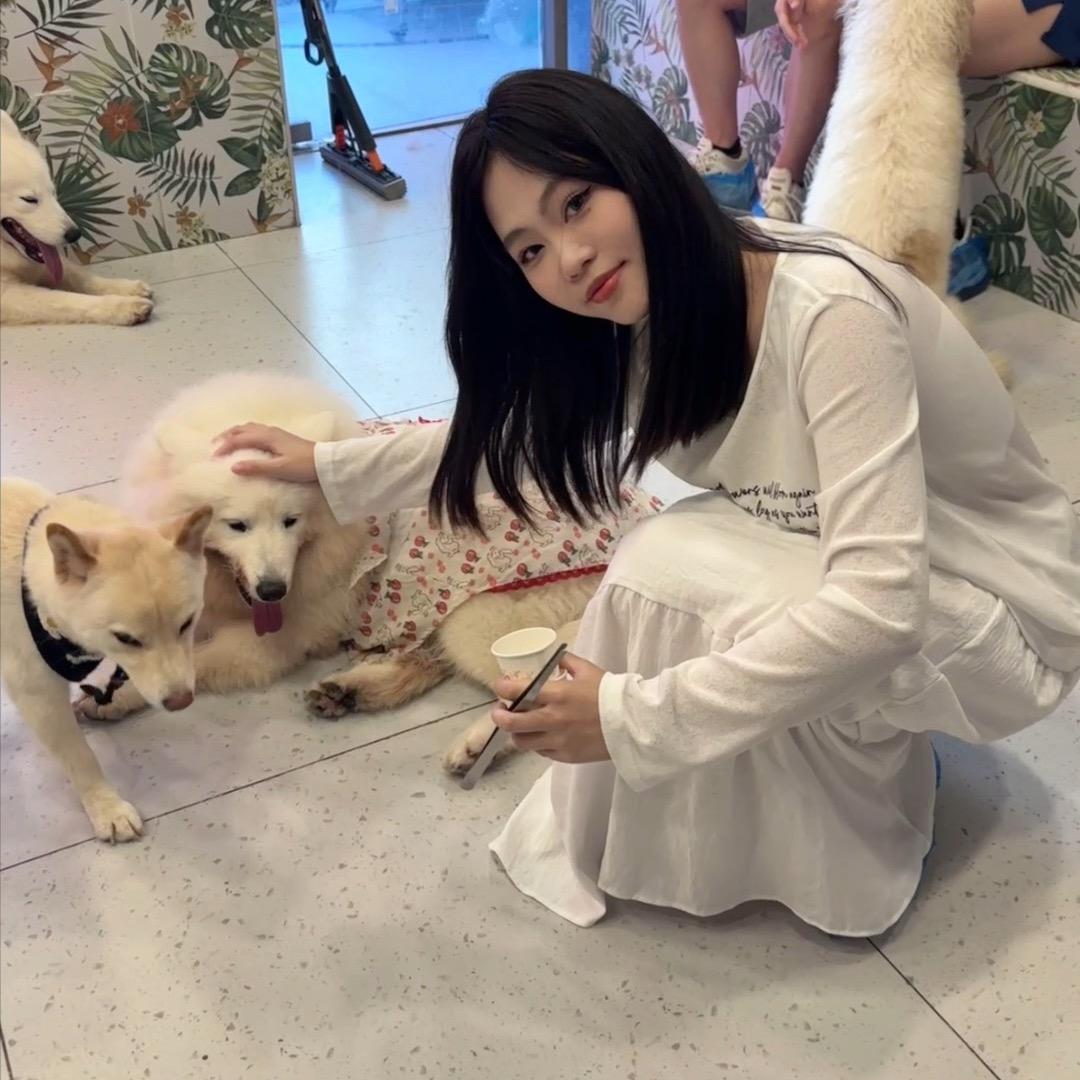 小噗大王（想看雪版）