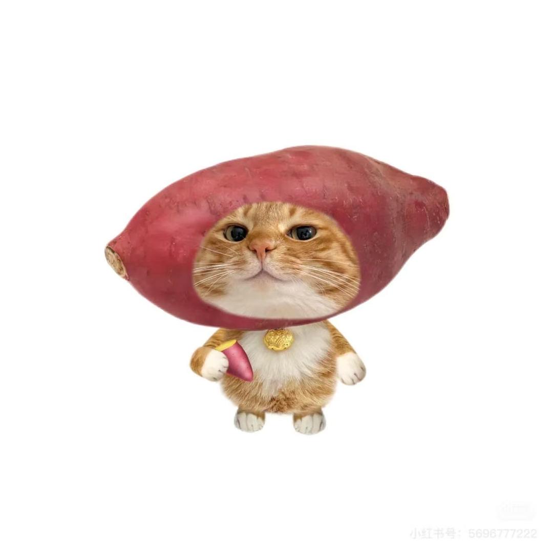 kioo（正常营业版）