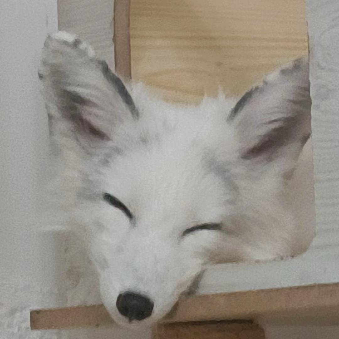 嘉芮
