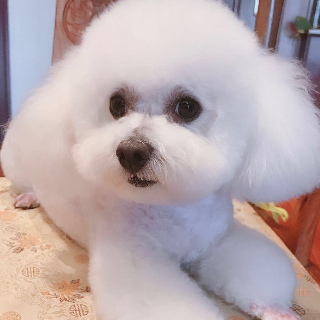 小Fei的费