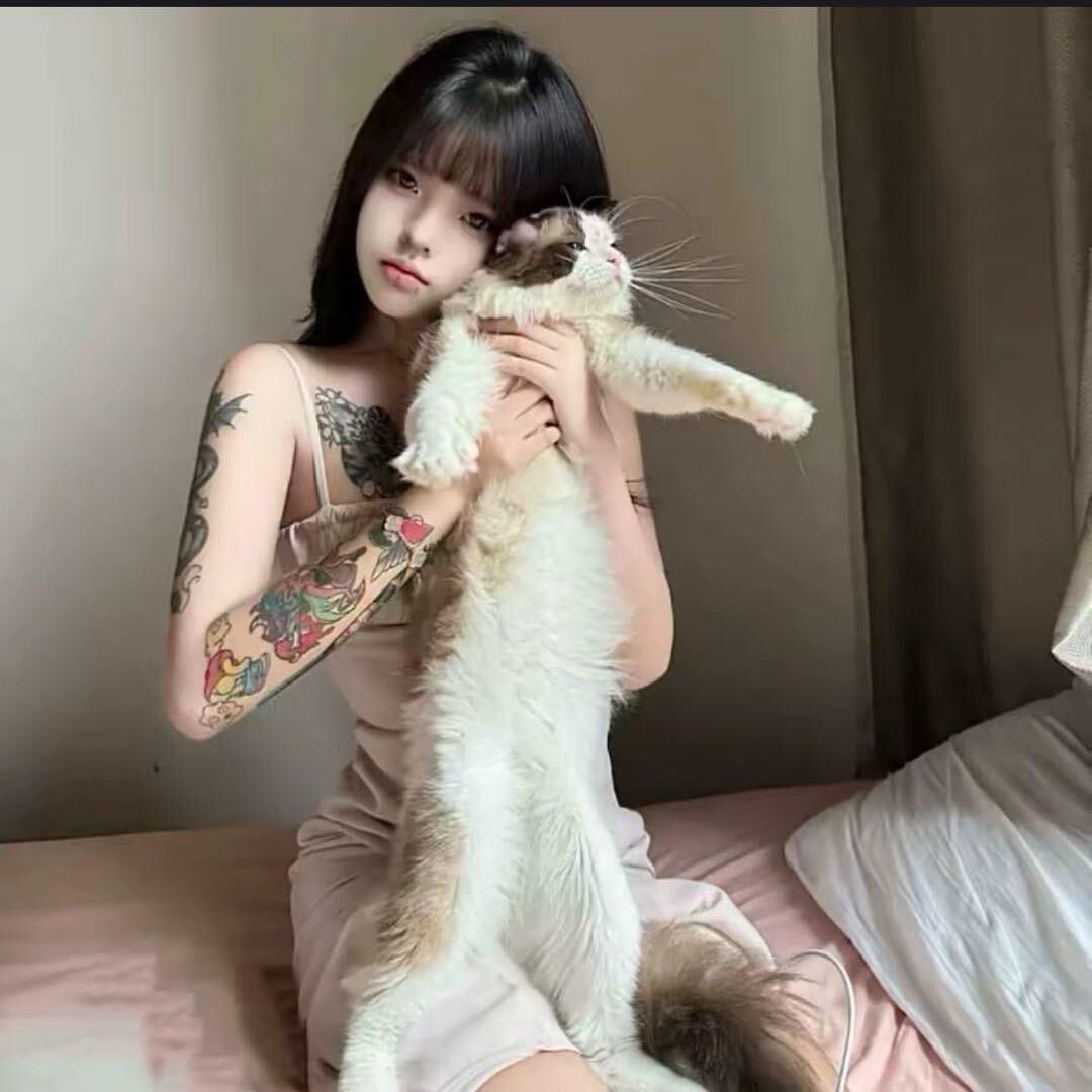 ㅤㅤㅤㅤㅤㅤㅤㅤㅤㅤ❤️