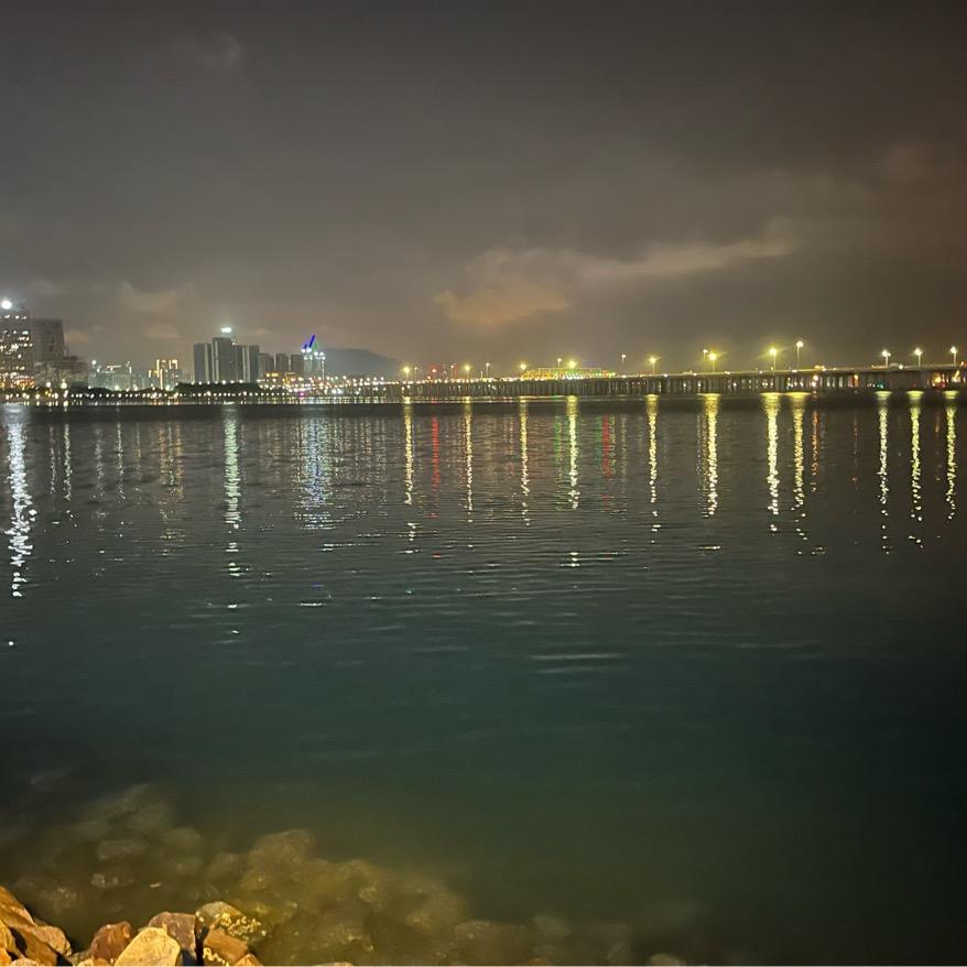 🌈昨夜，小楼又东风