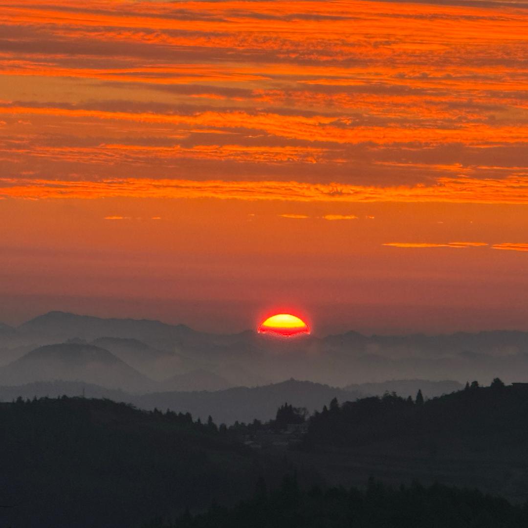 亿星新书画官方号