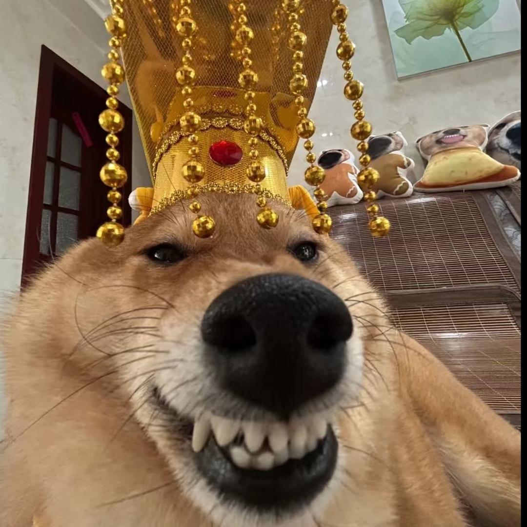 美式拌饭