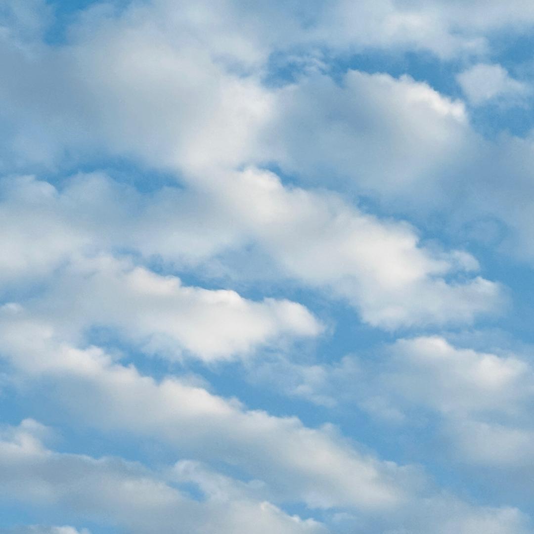 桃汁不是桃子🍑