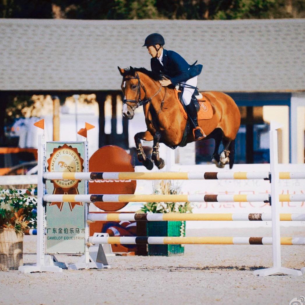 没有角的独角兽