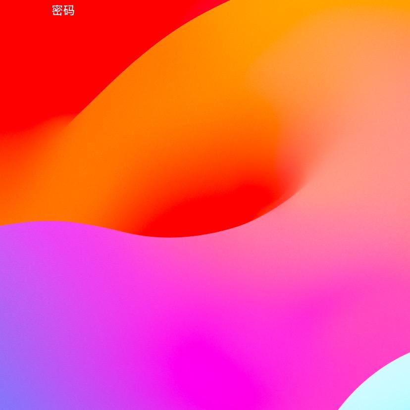 www