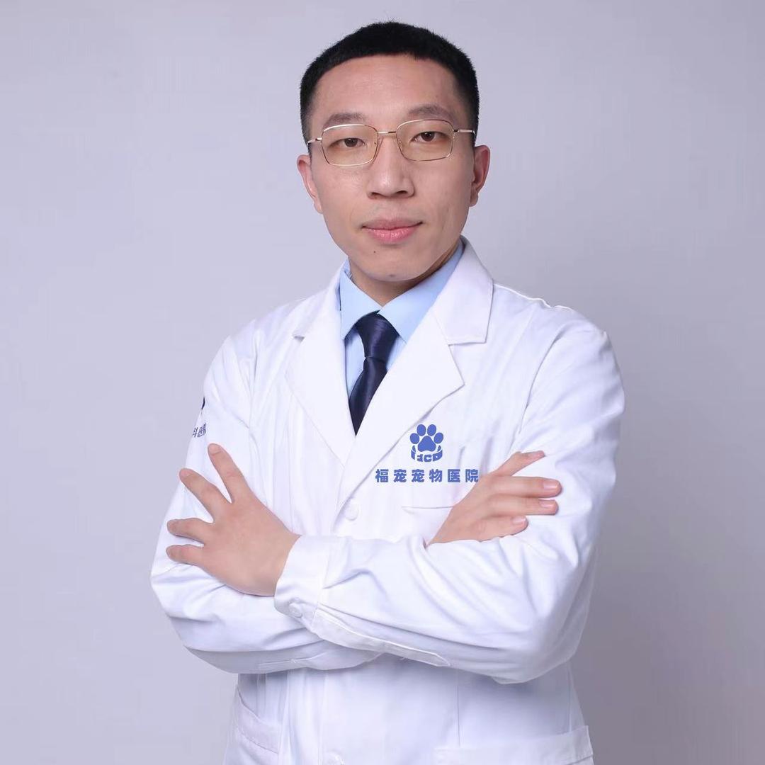 郑州宠医陈胜飞