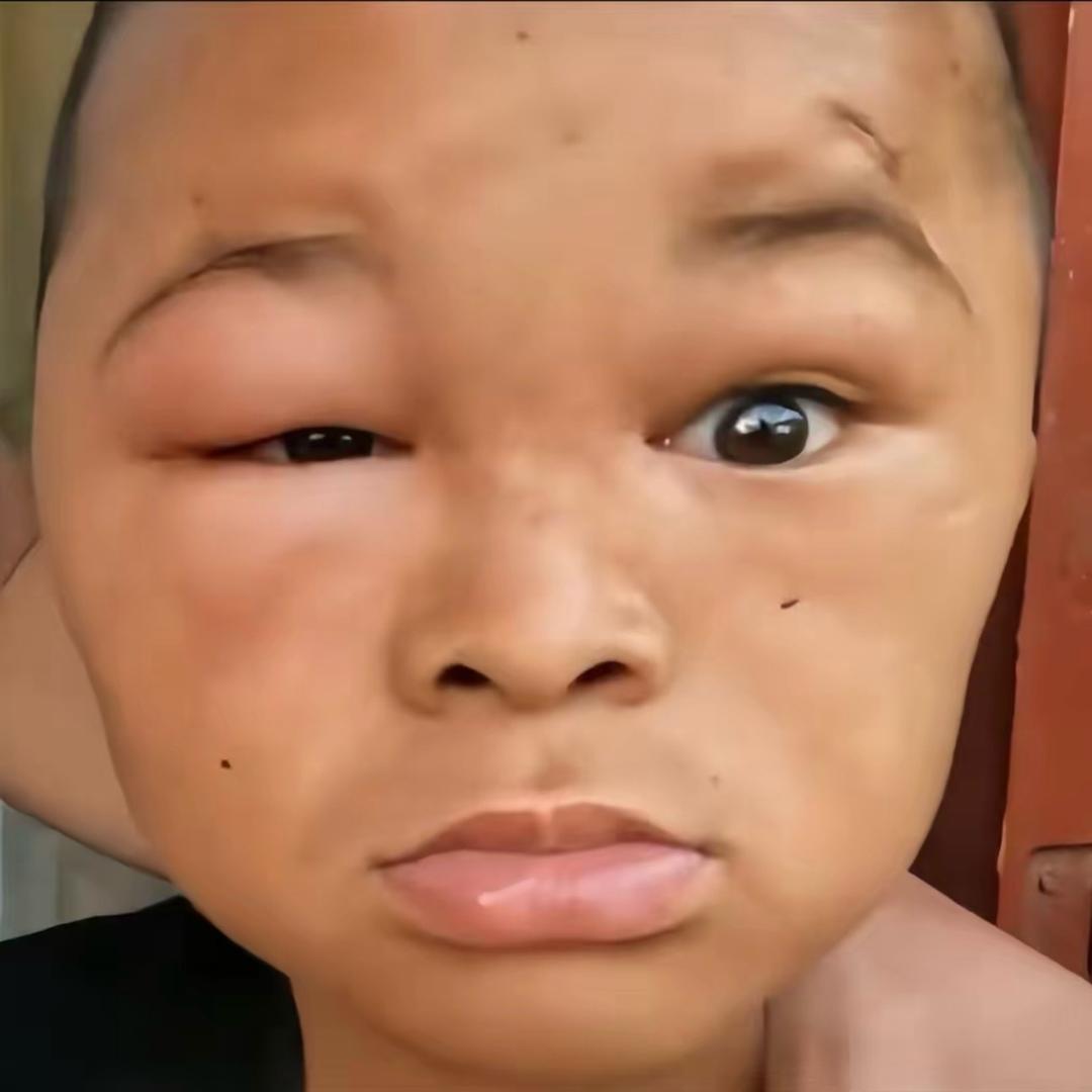 张学良 ￴￴￴￴￴￴￴