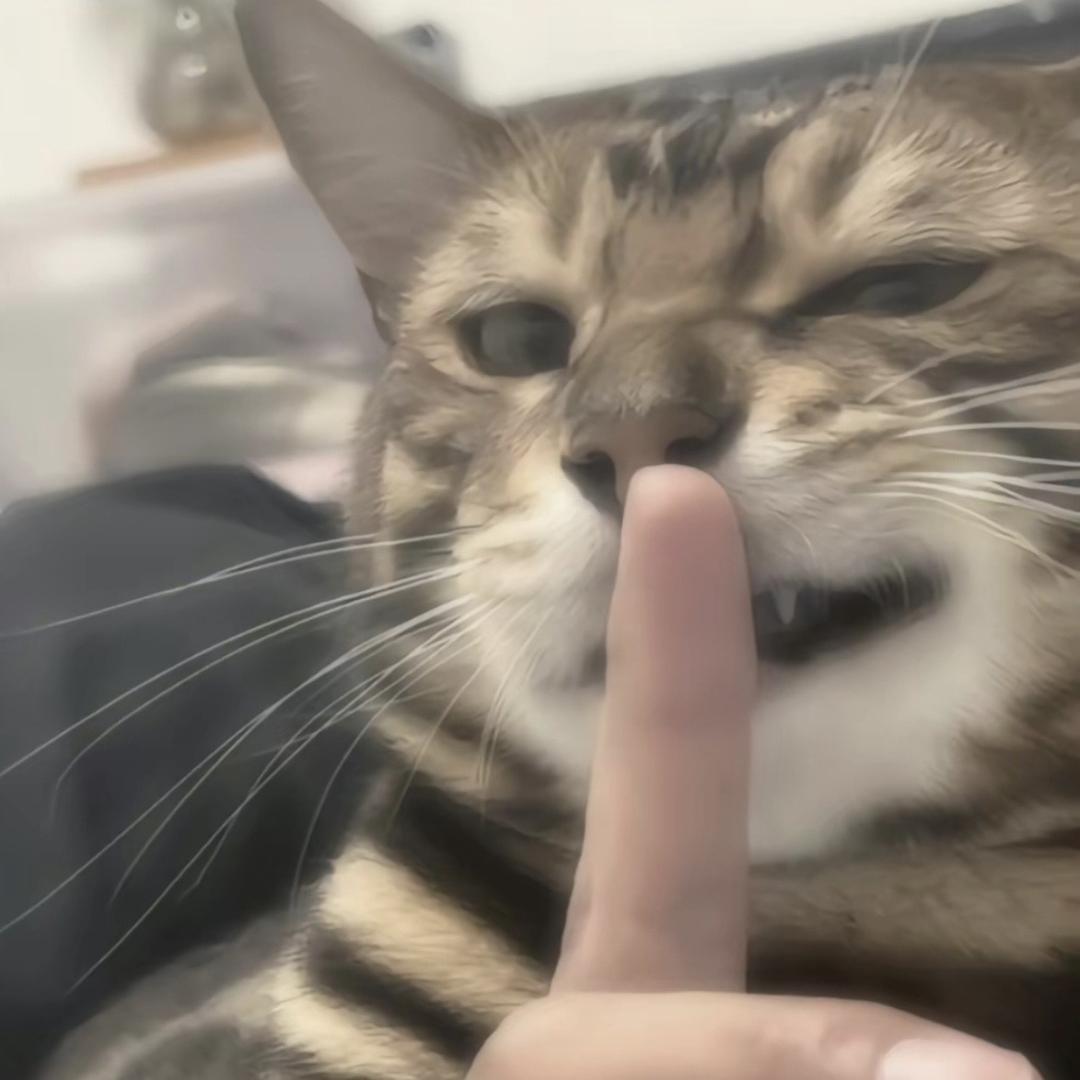 打小就爱笑