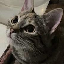 我是白云